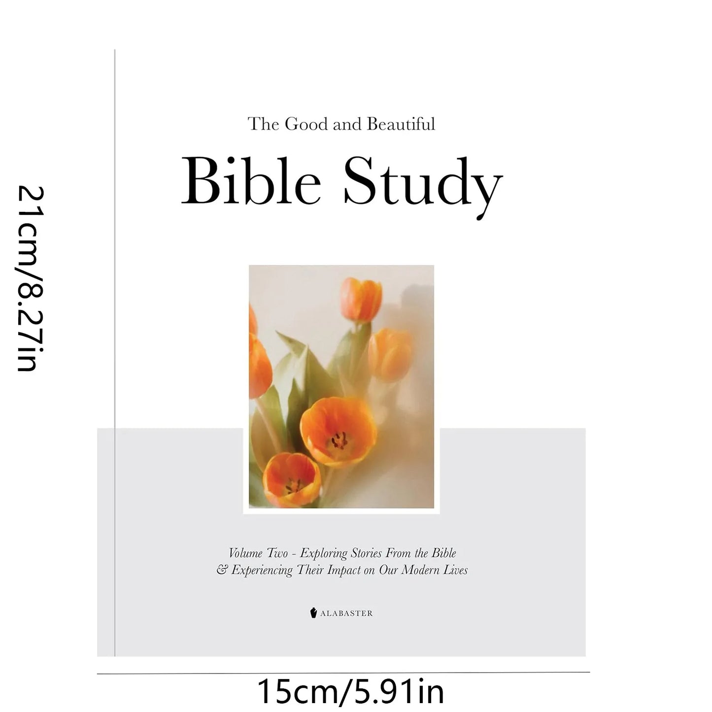 Stories That Shape Us: A 30-Lesson Bible Study Journal