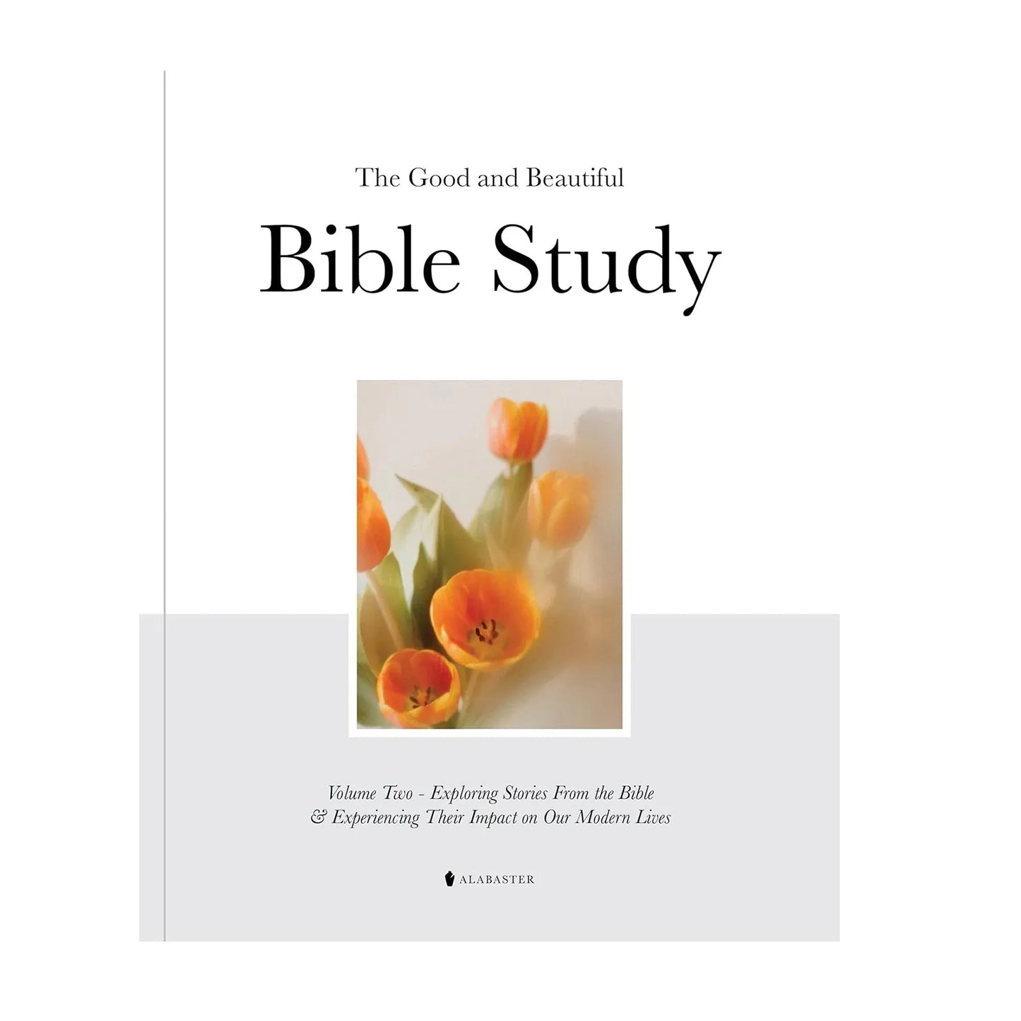 Stories That Shape Us: A 30-Lesson Bible Study Journal