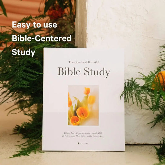 Stories That Shape Us: A 30-Lesson Bible Study Journal