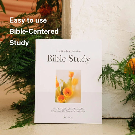 Stories That Shape Us: A 30-Lesson Bible Study Journal